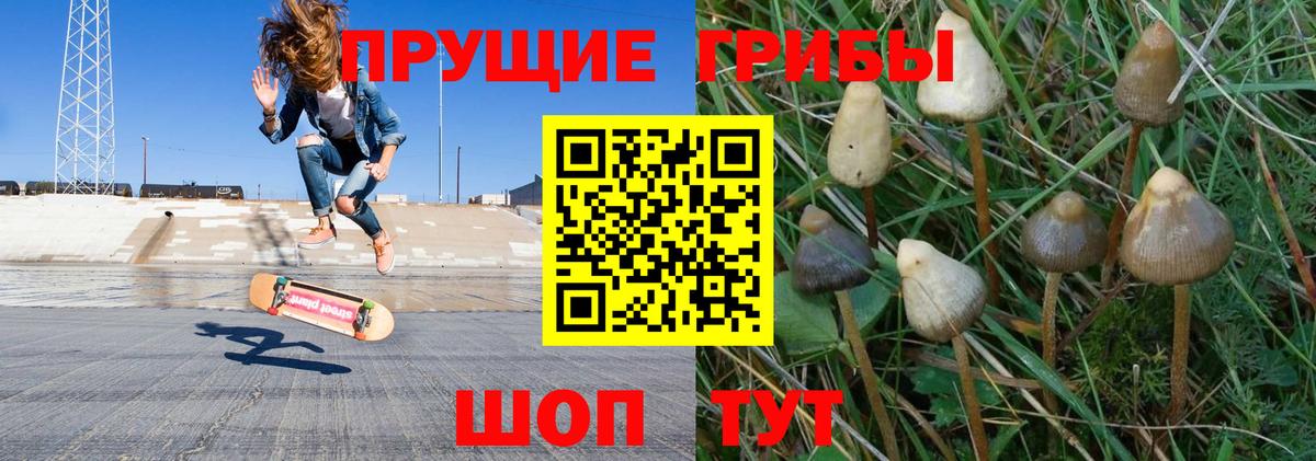 Красногорск  Галлюциногенные грибы прущие грибы  Вход с VPN 