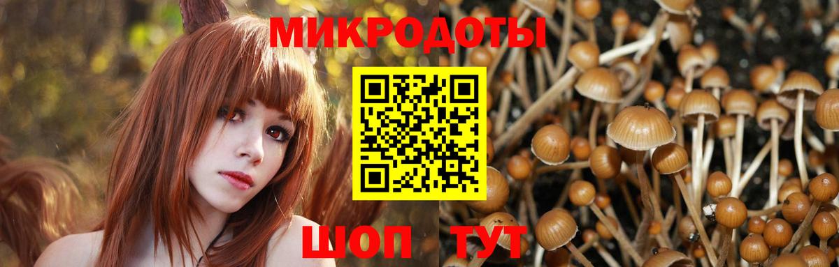 Псилоцибиновые грибы ЛСД Красногорск
